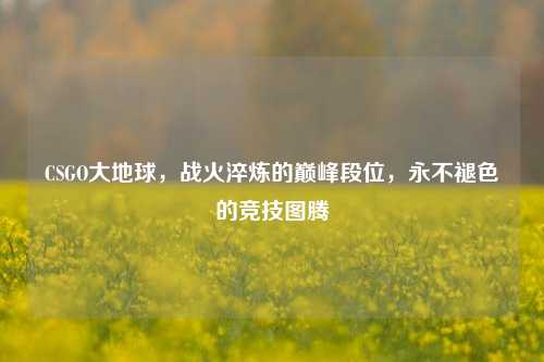 CSGO大地球,战火淬炼的巅峰段位,永不褪色的竞技图腾