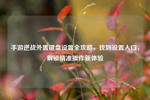 手游逆战外置键盘设置全攻略,找到设置入口,解锁精准操作新体验