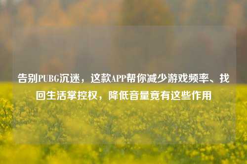 告别PUBG沉迷，这款APP帮你减少游戏频率、找回生活掌控权，降低音量竟有这些作用
