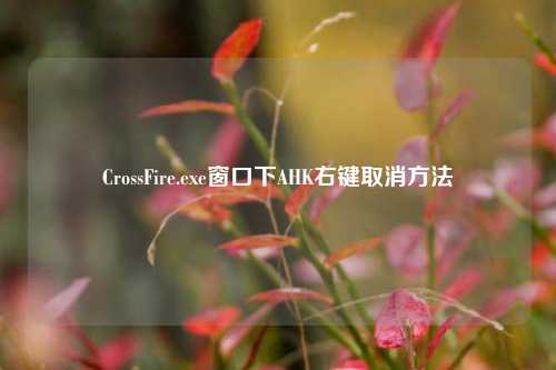 CrossFire.exe窗口下AHK右键取消