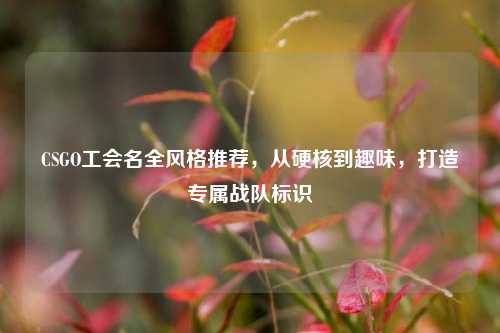 CSGO工会名全风格推荐,从硬核到趣味,打造专属战队标识