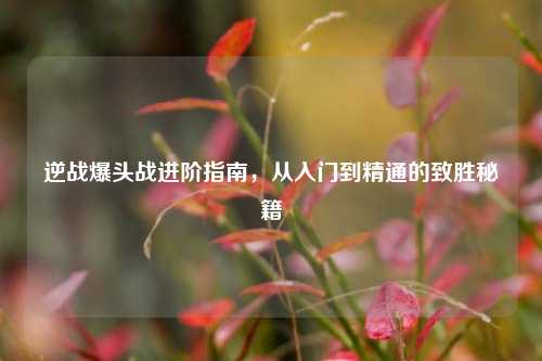 逆战爆头战进阶指南,从入门到精通的致胜秘籍