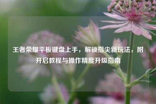 王者荣耀平板键盘上手,解锁指尖新玩法,附开启教程与操作精度升级指南