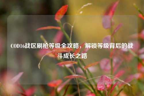 COD16战区刷枪等级全攻略,解锁等级背后的战斗成长之路