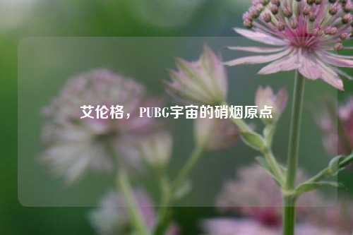 艾伦格,PUBG宇宙的硝烟原点