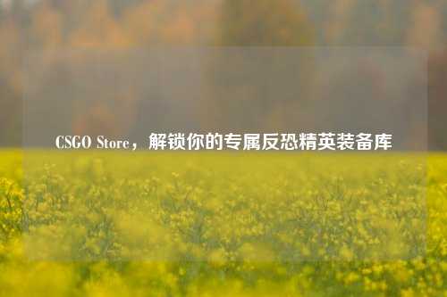 CSGO Store,解锁你的专属反恐精英装备库
