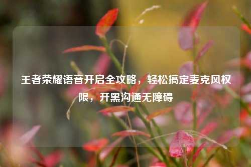 王者荣耀语音开启全攻略,轻松搞定麦克风权限,开黑沟通无障碍