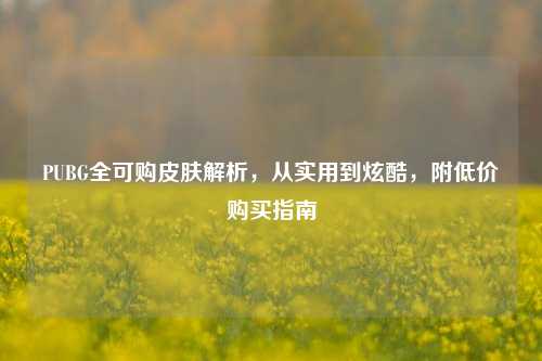 PUBG全可购皮肤解析,从实用到炫酷,附低价购买指南