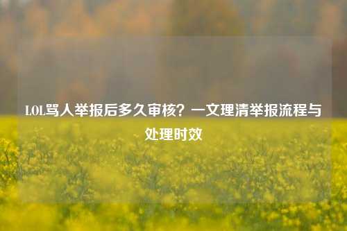 LOL骂人举报后多久审核?一文理清举报流程与处理时效