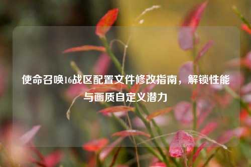 使命召唤16战区配置文件修改指南,解锁性能与画质自定义潜力