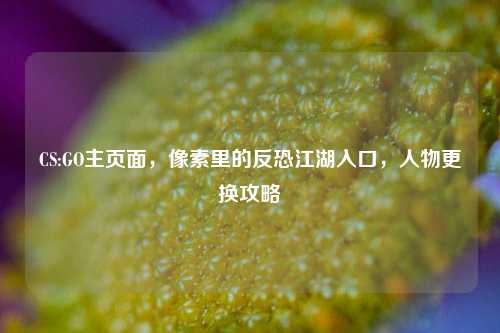 CS:GO主页面,像素里的反恐江湖入口,人物更换攻略
