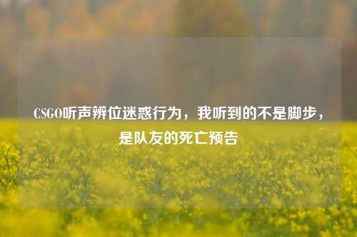 CSGO听声辨位迷惑行为,我听到的不是脚步,是队友的死亡预告