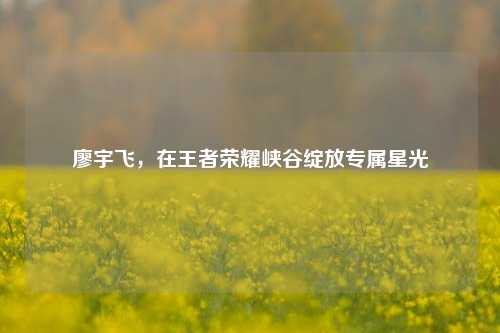 廖宇飞,在王者荣耀峡谷绽放专属星光