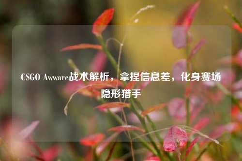 CSGO Awware战术解析,拿捏信息差,化身赛场隐形猎手