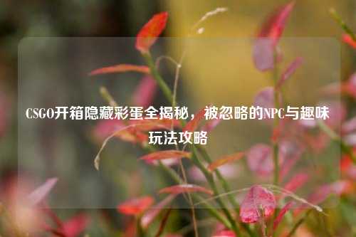 CSGO开箱隐藏彩蛋全揭秘,被忽略的NPC与趣味玩法攻略