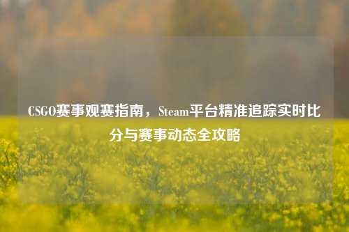 CSGO赛事观赛指南,Steam平台精准追踪实时比分与赛事动态全攻略