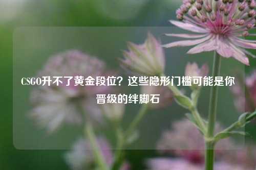 CSGO升不了黄金段位?这些隐形门槛可能是你晋级的绊脚石
