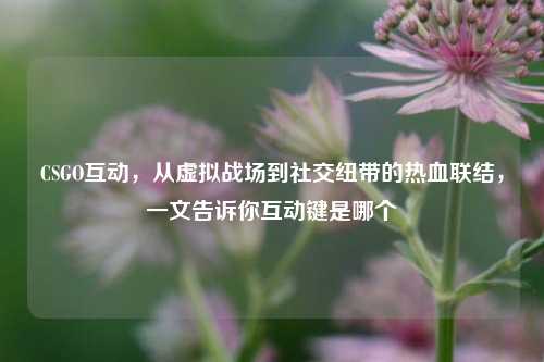 CSGO互动,从虚拟战场到社交纽带的热血联结,一文告诉你互动键是哪个