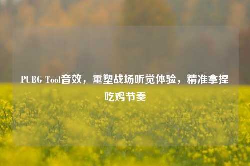 PUBG Tool音效,重塑战场听觉体验,精准拿捏吃鸡节奏
