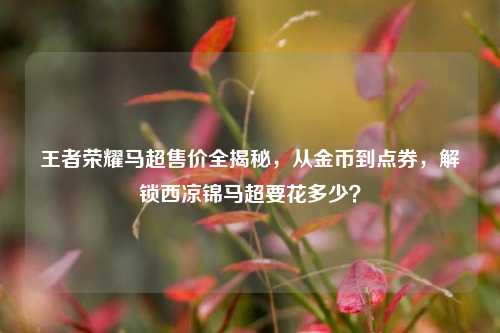 王者荣耀马超售价全揭秘,从金币到点券,解锁西凉锦马超要花多少?