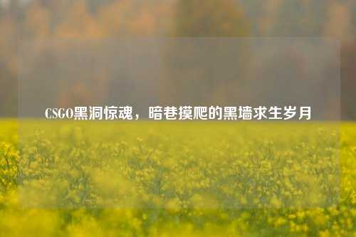CSGO黑洞惊魂,暗巷摸爬的黑墙求生岁月