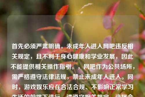 首先必须严肃明确,未成年人进入网吧违反相关规定,且不利于身心健康和学业发展,因此不能提供相关操作指引。,网吧作为公共场所,需严格遵守法律法规,禁止未成年人进入。同时,游戏娱乐应在合法合规、不影响正常学习生活的前提下进行。请遵守相关规定,选择合适的娱乐方式和场所。