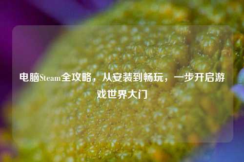 电脑Steam全攻略,从安装到畅玩,一步开启游戏世界大门
