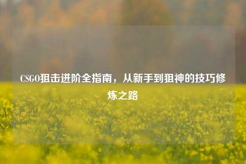 CSGO狙击进阶全指南,从新手到狙神的技巧修炼之路