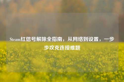 Steam红信号解除全指南,从 到设置,一步步攻克连接难题