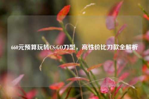 660元预算玩转CS:GO刀型,高性价比刀款全解析
