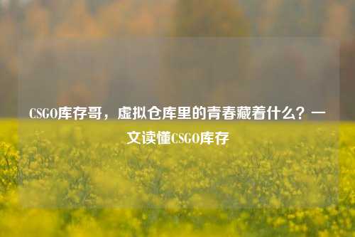 CSGO库存哥,虚拟仓库里的青春藏着什么?一文读懂CSGO库存