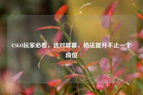 CSGO玩家必看,选对屏幕,枪法提升不止一个段位