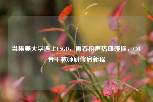 当集美大学遇上CSGO,青春枪声热血碰撞,CSC骨干教师研修启新程