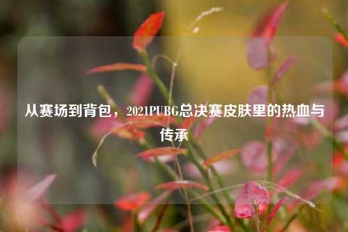 从赛场到背包,2021PUBG总决赛皮肤里的热血与传承