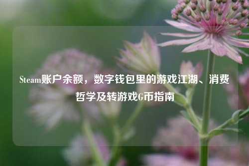 Steam账户余额,数字钱包里的游戏江湖、消费哲学及转游戏G币指南