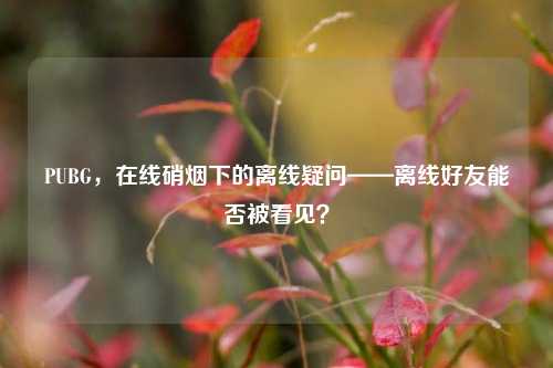 PUBG,在线硝烟下的离线疑问——离线好友能否被看见?