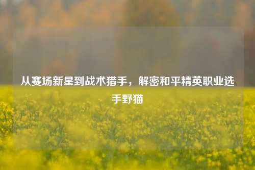 从赛场新星到战术猎手,解密和平精英职业选手野猫