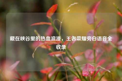 藏在峡谷里的热血浪漫,王者荣耀旁白语音全收录