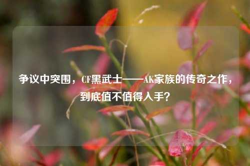 争议中突围,CF黑武士——AK家族的传奇之作,到底值不值得入手?