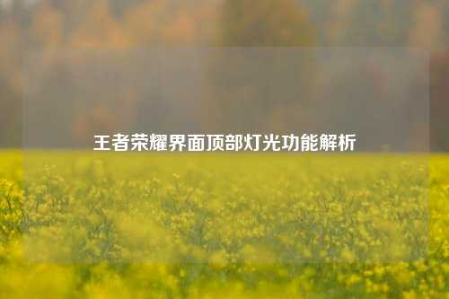 王者荣耀界面顶部灯光功能解析