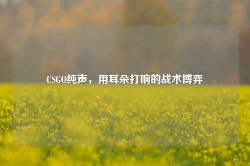 CSGO纯声,用耳朵打响的战术博弈