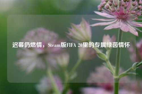 迟暮仍燃情,Steam版FIFA 20里的专属绿茵情怀