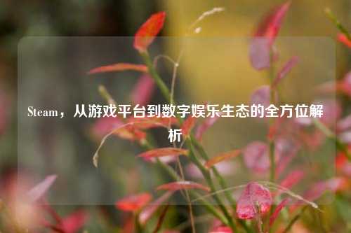 Steam,从游戏平台到数字娱乐生态的全方位解析