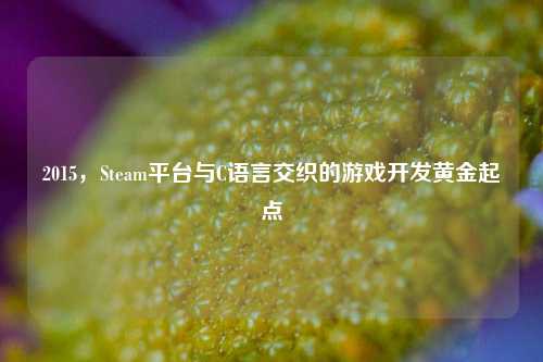 2015,Steam平台与C语言交织的游戏开发黄金起点
