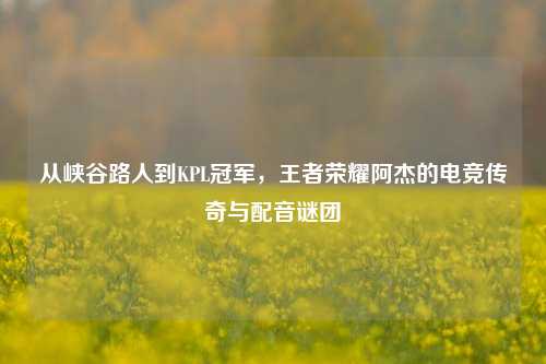 从峡谷路人到KPL冠军,王者荣耀阿杰的电竞传奇与配音谜团