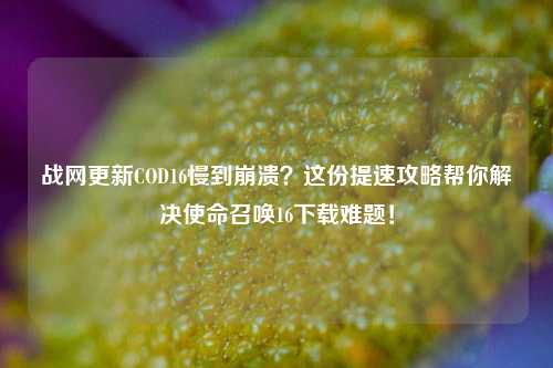 战网更新COD16慢到崩溃?这份提速攻略帮你解决使命召唤16下载难题!