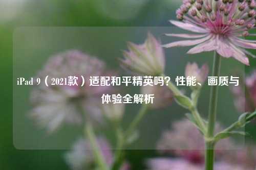 iPad 9(2021款)适配和平精英吗?性能、画质与体验全解析
