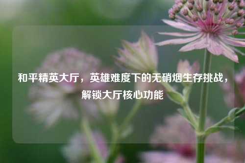 和平精英大厅,英雄难度下的无硝烟生存挑战,解锁大厅核心功能
