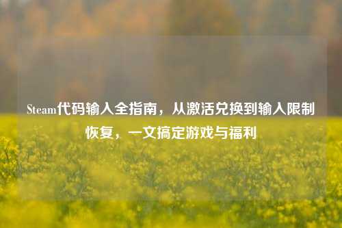 Steam代码输入全指南,从激活兑换到输入限制恢复,一文搞定游戏与福利