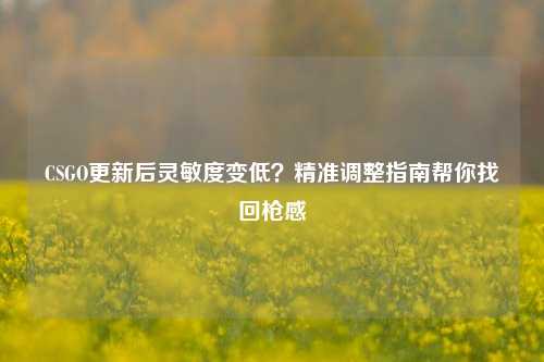 CSGO更新后灵敏度变低?精准调整指南帮你找回枪感